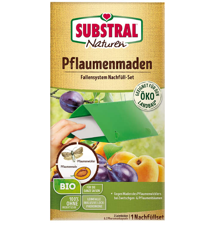 SUBSTRAL Naturen Pflaumenmaden-Falle Nachrüstset